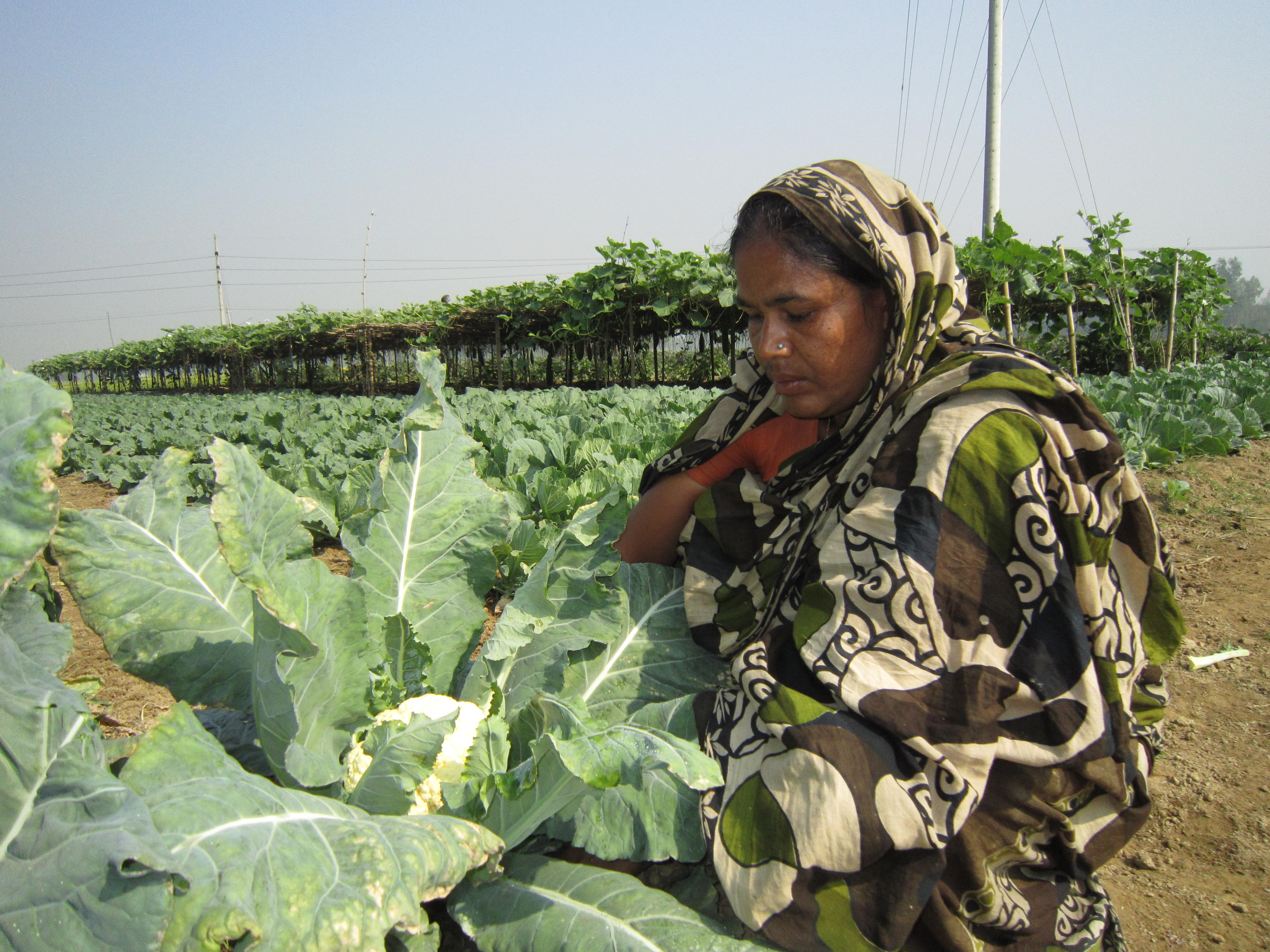 Agriculture Sector Microfinance